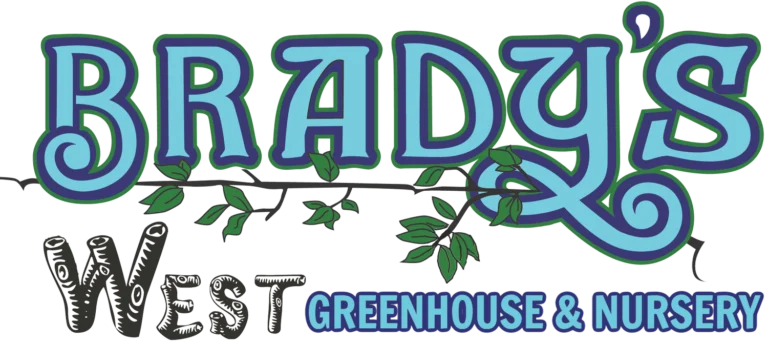 BradysGHandNNewLogo 768x343