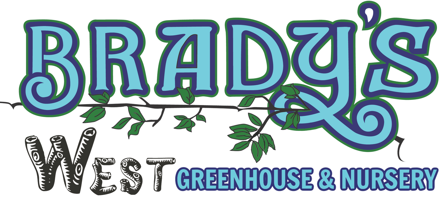 BradysGHandNNewLogo