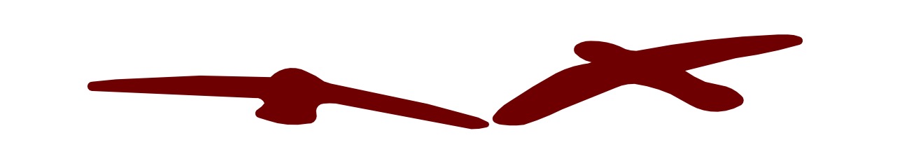 ESky Logo from AC 7 2 25 birds