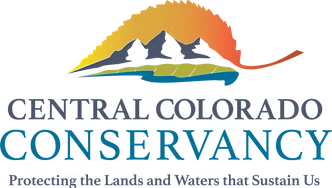 Central Co Logo central co logo